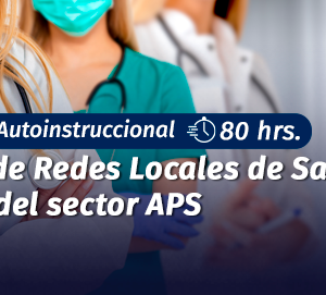 Curso Gestión de Redes Locales de Salud para Equipos del sector APS