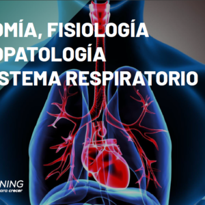 CURSO ANATOMÍA, FISIOLOGÍA Y FISIOPATOLOGÍA DEL SISTEMA RESPIRATORIO
